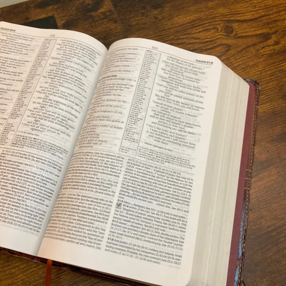 Zondervan NIV Study Bible 2008 Update Brown Italian Duo-Tone Very Distressed